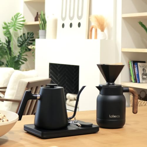 DJ Electric Gooseneck Kettle