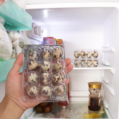 220 Pack Quail Egg Cartons (220 Count)