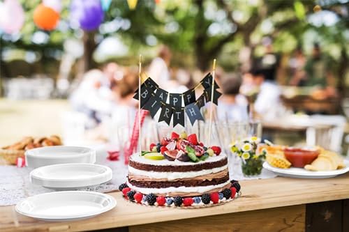 Sturdy White Plastic Plates 10" Party Plates 100 Pcs (100 Count)