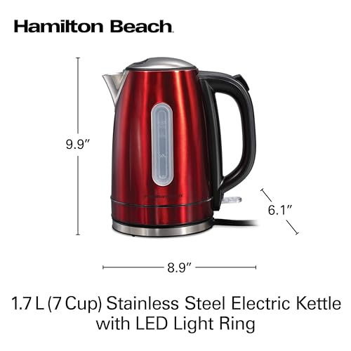 Electric Tea Kettle