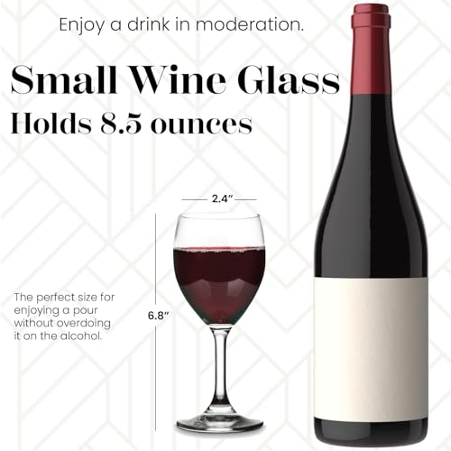 8.5 Ounce Small Wine Glasses Set of 6