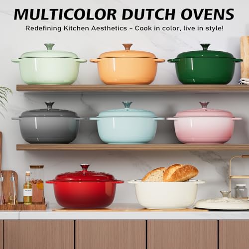 Enameled Cast Iron Dutch Oven