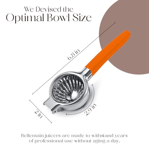 Metal Lemon Squeezer