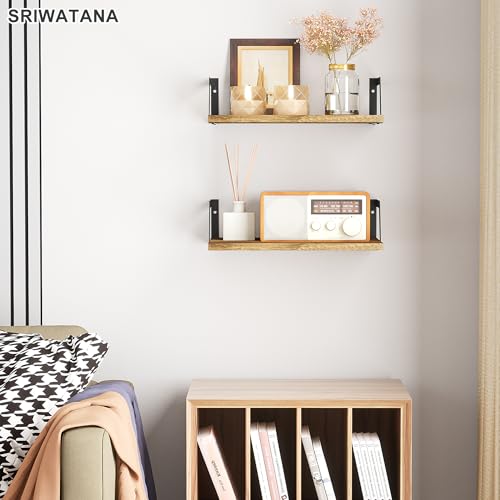Carbonized Black Deep Floating Shelves (2 Count)