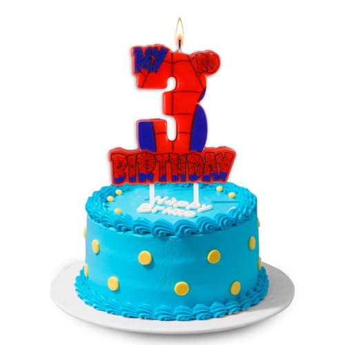 Spider Birthday Party Decorations