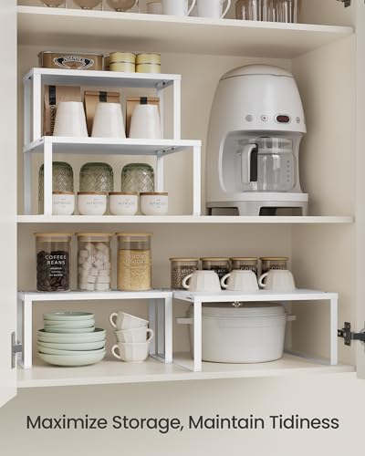 Set of 2 Metal Spice Racks (2 Count)