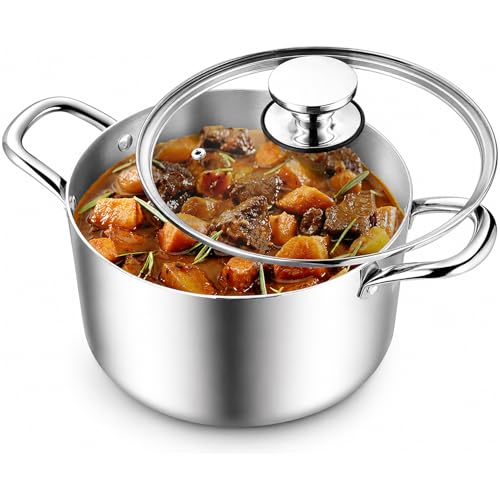 8 Quart Stock Pot