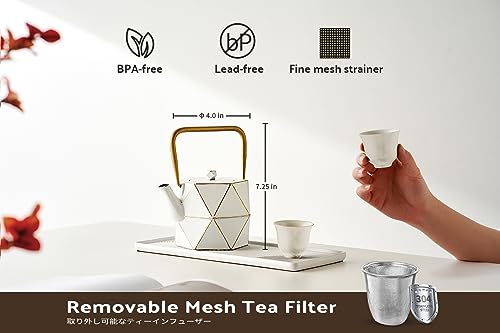 Cast Iron Teapot