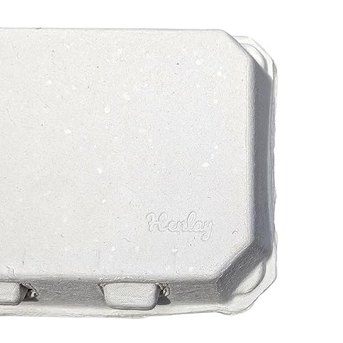 White Half Dozen Blank Egg Cartons (20 Count)