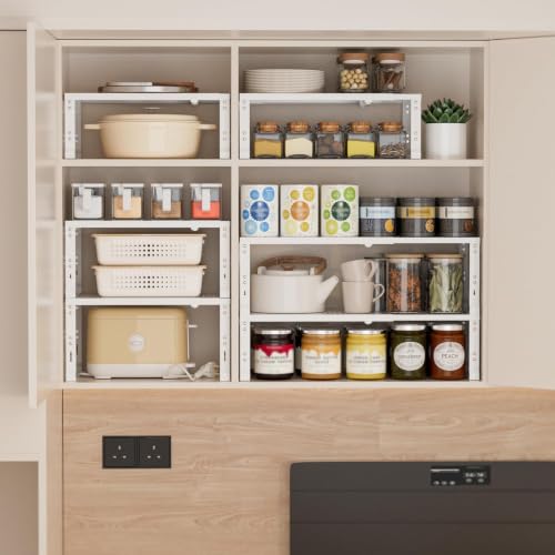 Heavy Duty Adjustable Metal Shelf Organizer