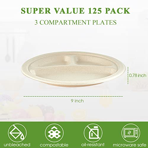 Compostable Paper Plates (125 Count)