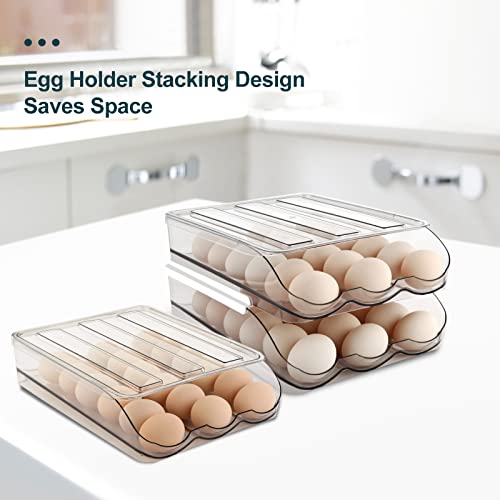 Egg Holder for Fridge