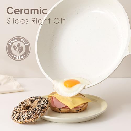 Nonstick Saute Pan with Lid 12