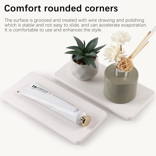 2Pcs Stone Soap Trays Water Absorbing Diatomite Coaster (2 Count)