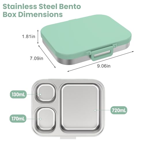 Stainless Steel Bento Lunch Box for Kids