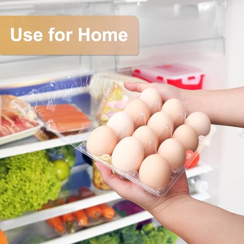 100 Pack Bulk Egg Cartons (100 Count)