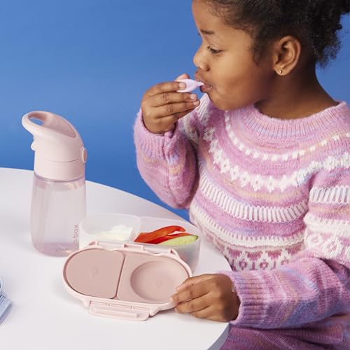 Snack Box Snack Containers for Kids