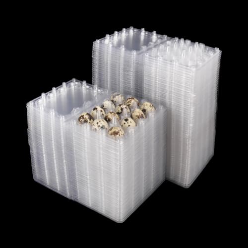 200 Pack Quail Egg Cartons (200 Count)
