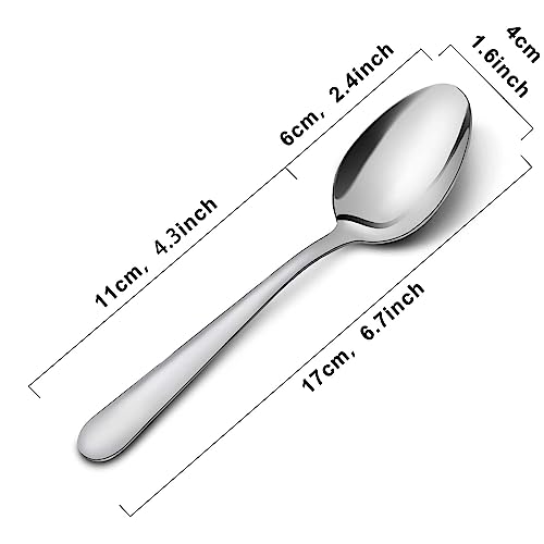 36 Piece Dinner Spoons Set (36 Count)