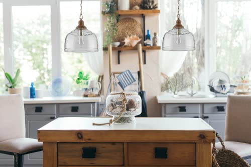 Capital Lighting 330318GY Julian Coastal Style Clear Organic Rippled Glass Pendant with Handcrafted Mango Wood Finial
