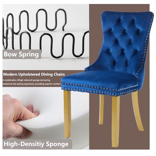 Blue Velvet Dining Chairs Set of 2 (2 Count)