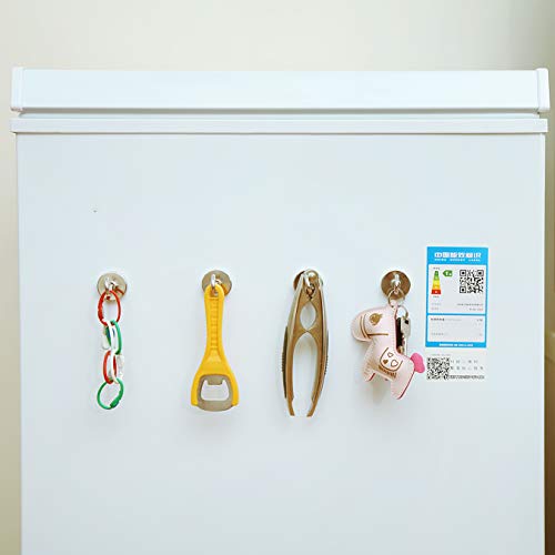 Magnetic Hooks (10 Count)