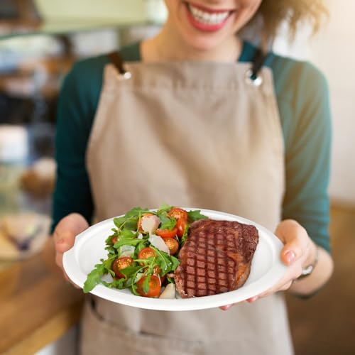 9 inch Disposable Paper Plates 200 Pack (200 Count)