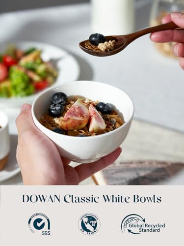 8.5 OZ Small Ceramic Bowls Set of 4 (4 Count)