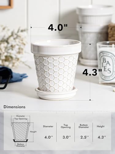 Ceramic Succulent Pots (4 Count)