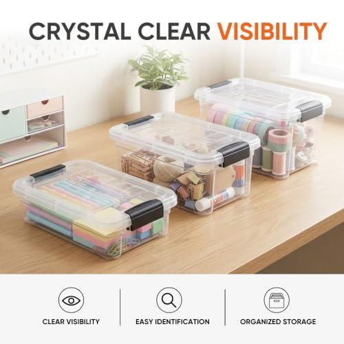 1.05 Quart Mini Clear Plastic Storage Container with Lid (2 Count)