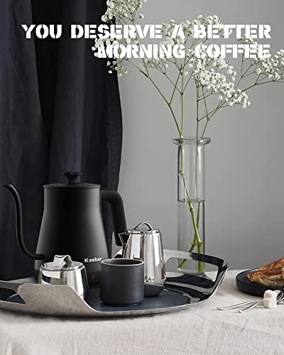 Electric Gooseneck Kettle