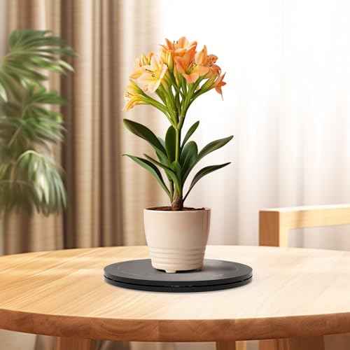 Lazy Susan Turntable Organizer for Cabinet Pantry Kitchen Countertop Computer Cupboard