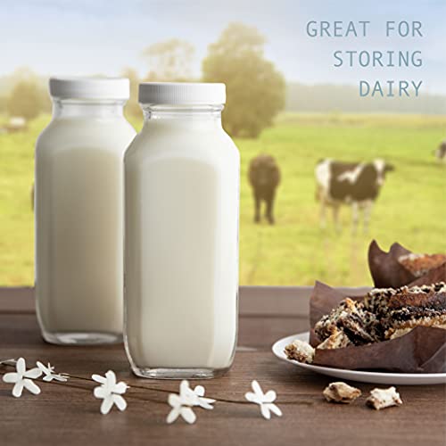 16 oz Glass Milk Bottle with Lid (2 Count)