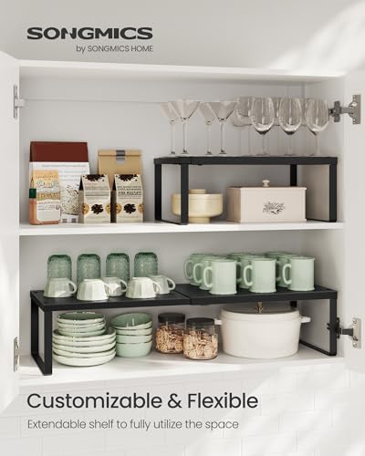 Spice Rack Expandable Kitchen Countertop Shelf