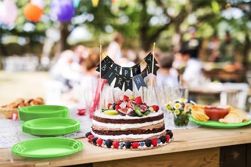 Sturdy Lime Green Plastic Plates 9" Party Plates 100 Pcs (100 Count)