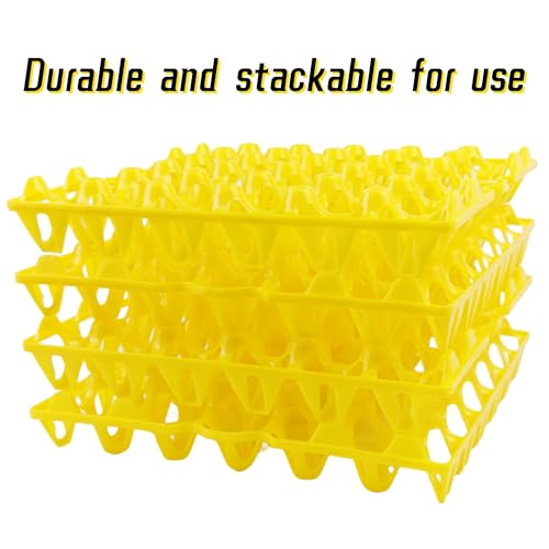 4 Pack Plastic Egg Tray Egg Crates 30 (4 Count)