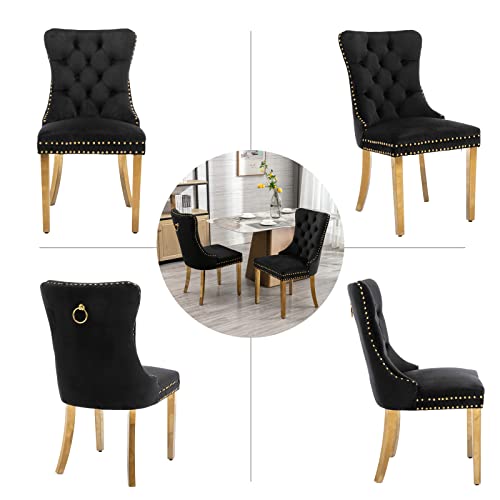 Black and Gold Velvet Dining Chairs Set of 2 (2 Count)