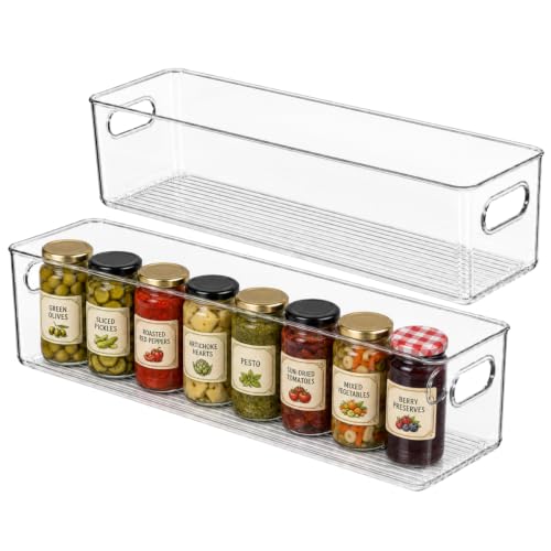 Plastic Food Storage 2 Pack Clear Container Bin with Handles for Organizing Kitchen