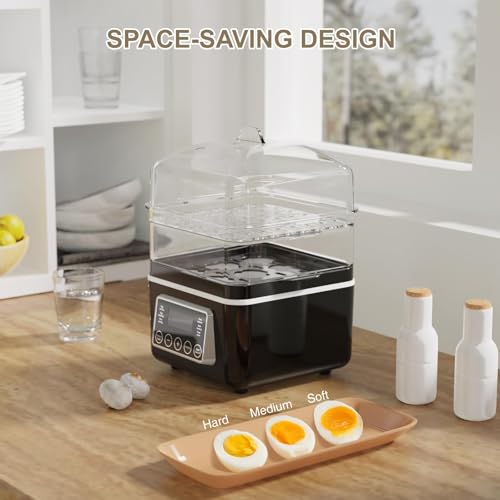 2 Tiers Electric Food Steamer for Cooking (2 Count)