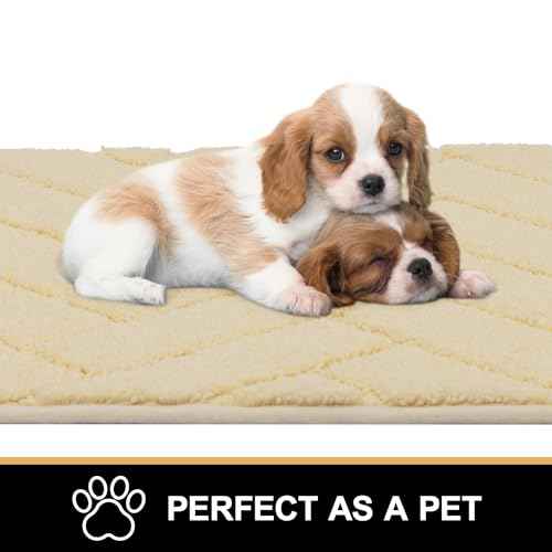 Indoor Doormat (9.6 Sq Ft)