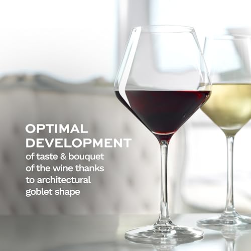 Revolution Burgundy Red Wine Glasses 18 1 (4 Count)