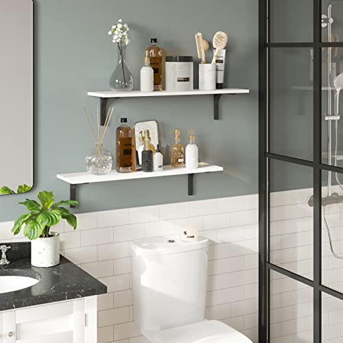 Long Wall Shelves (2 Count)