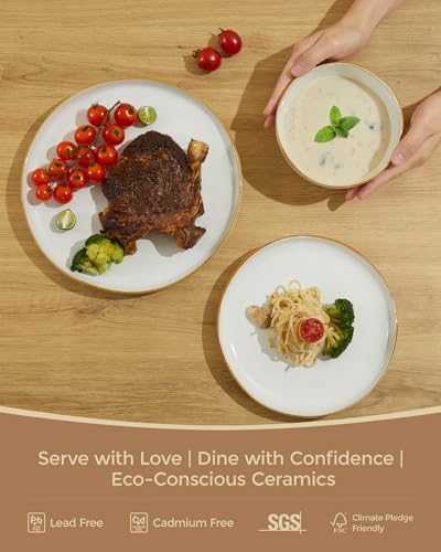 Stoneware Dinnerware Sets for 8