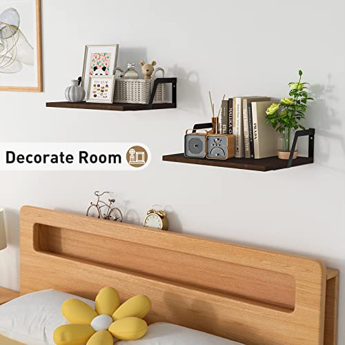 Dark Walnut Deep Floating Shelves (2 Count)
