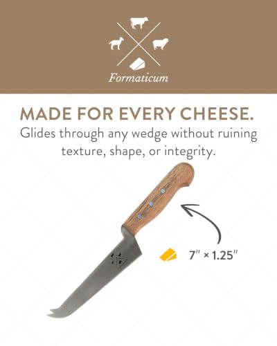 Professional Tasting Cheese Knife