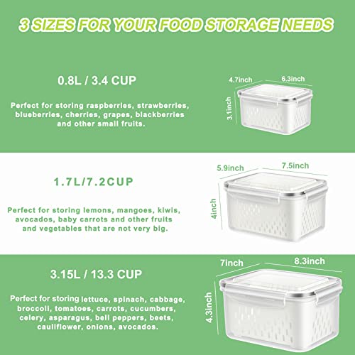 3 Pack Fruit Storage Containers for Fridge Berry Saver Lettuce Keeper (3 Count)