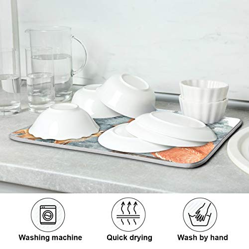 Super Absorbent Dish Drying Mat