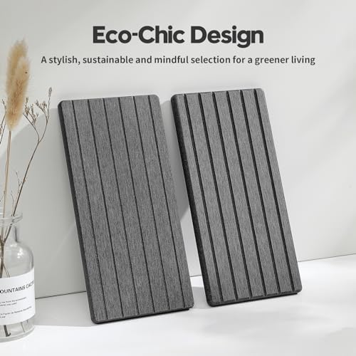 2PCS Diatomite Water Absorbing Stone Drying Tray Mat for Bathroom & Kitchen Counter (2 Count)