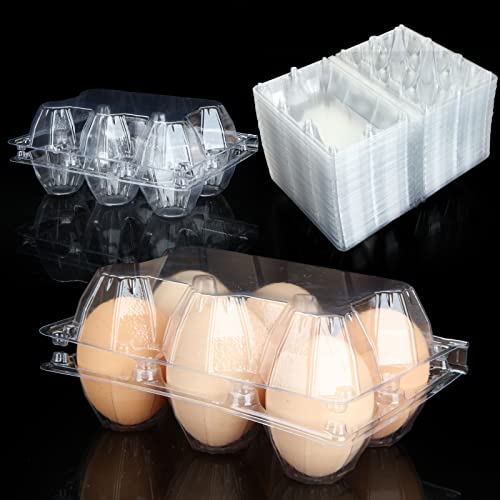 100PCS Egg Cartons Cheap Bulk (100 Count)
