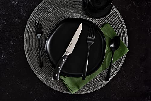 4 Piece Serrated Kitchen Steak Knife Set (4 Count)
